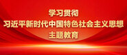 成人逼视频学习贯彻习近平新时代中国特色社会主义思想主题教育_fororder_ad-371X160(2)